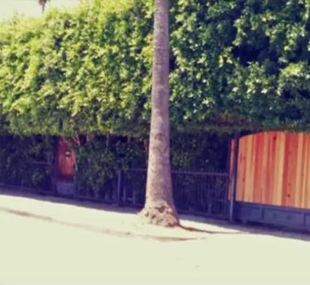 Corporate Manor Apartment Los Angeles Exterior photo